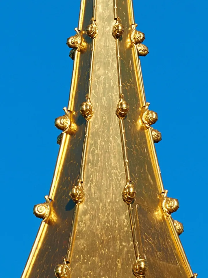 The Golden Snails - image 1