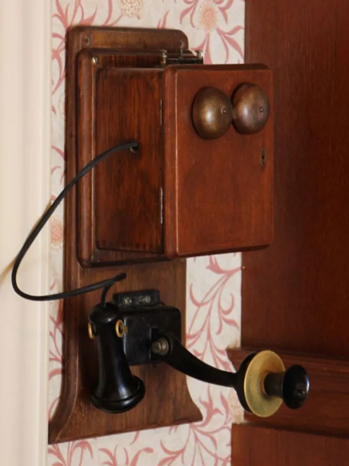 The Party Line Telephone - image 1
