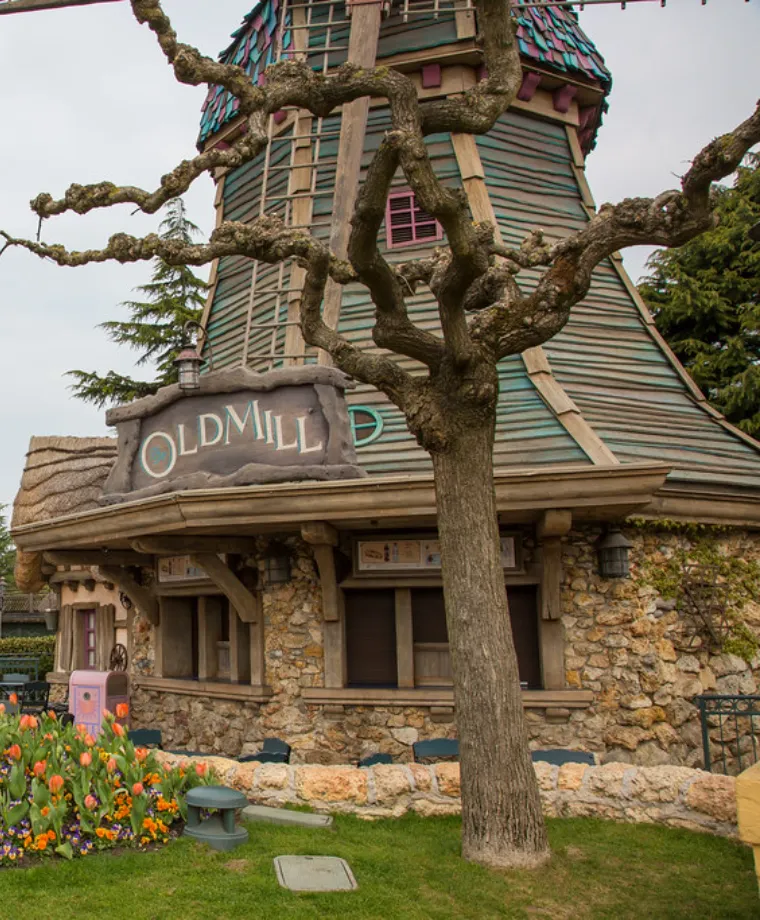 The Old Mill - image 2