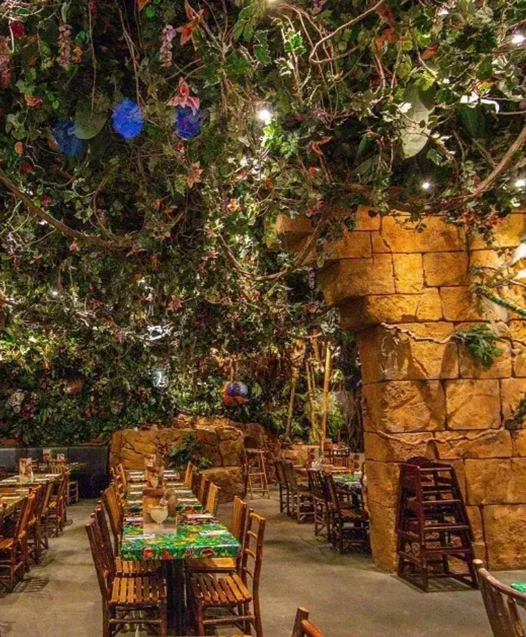 Rainforest Café - image 2
