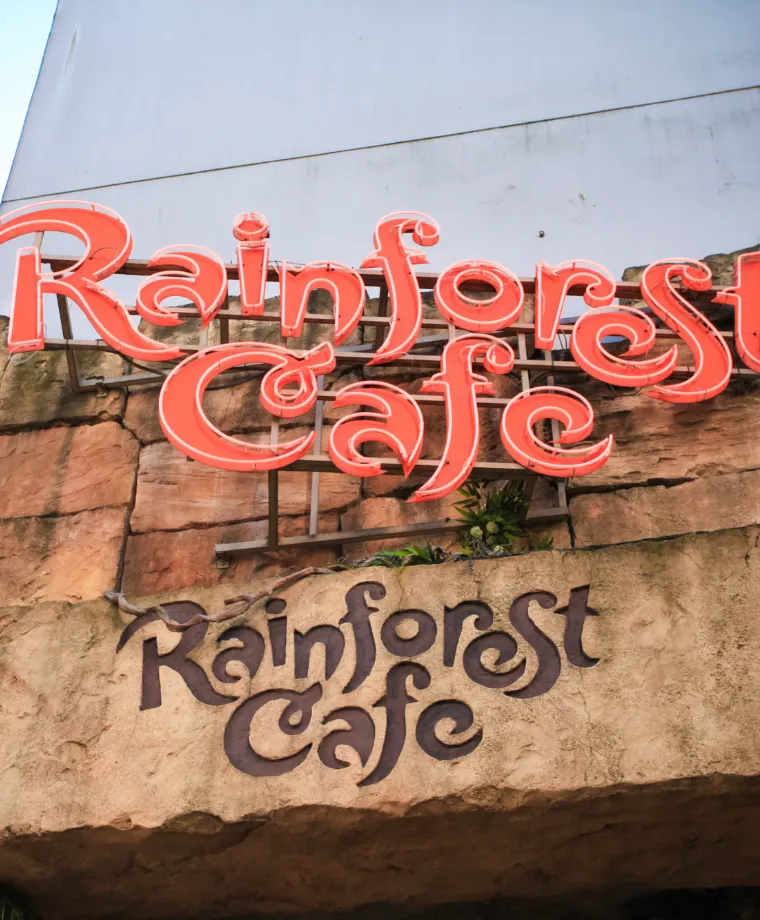 Rainforest Café - image 1