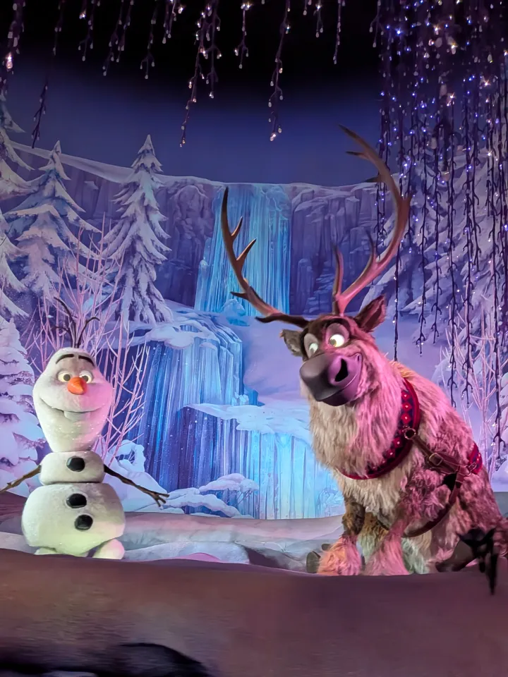 Frozen Ever After - image 1