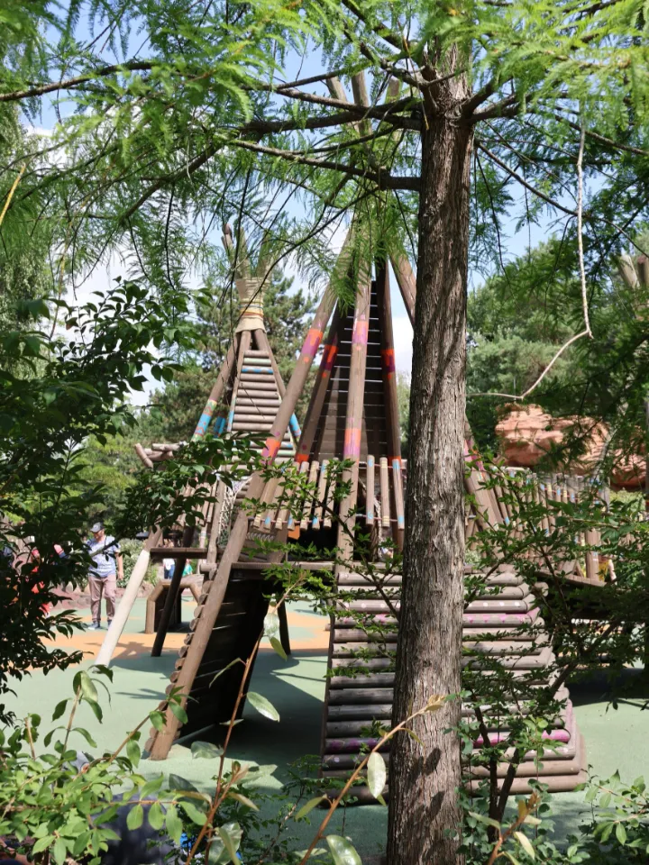 Frontierland Playground - image 1