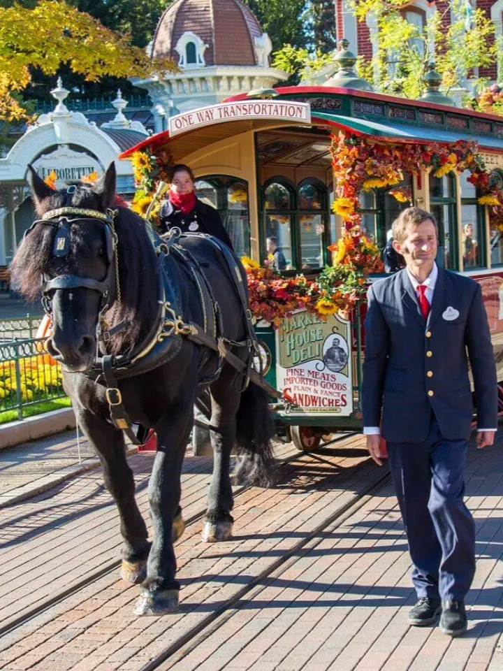 Horse-Drawn Streetcars - image 1