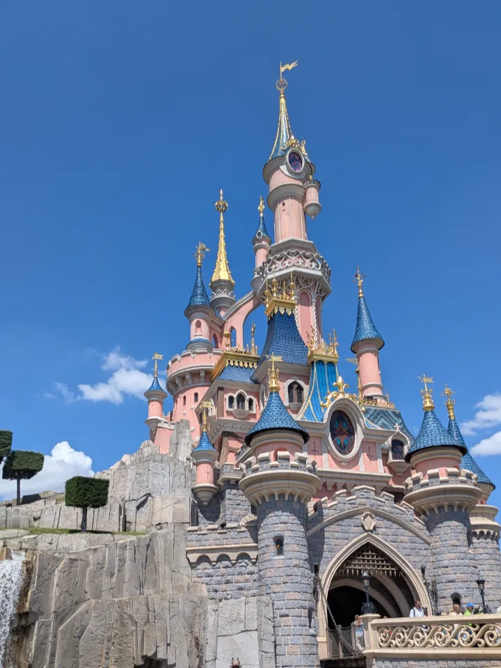Sleeping Beauty Castle - image 1
